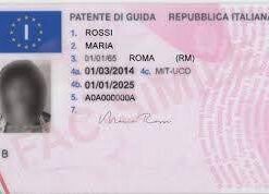 Buy Fake Driver’s License of Iceland