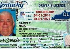Buy Kentucky Driver License and ID Cards