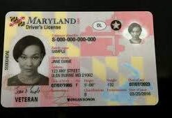 Buy Maryland Driver License and ID Cards