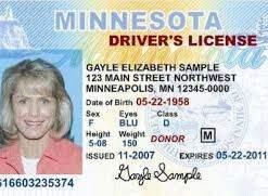Buy Minnesota Driver License and ID Cards