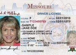 Buy Missouri Driver License and ID Cards