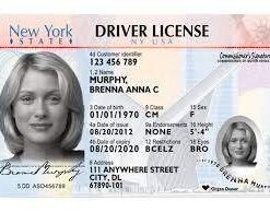 Buy New York Driver License and ID Cards