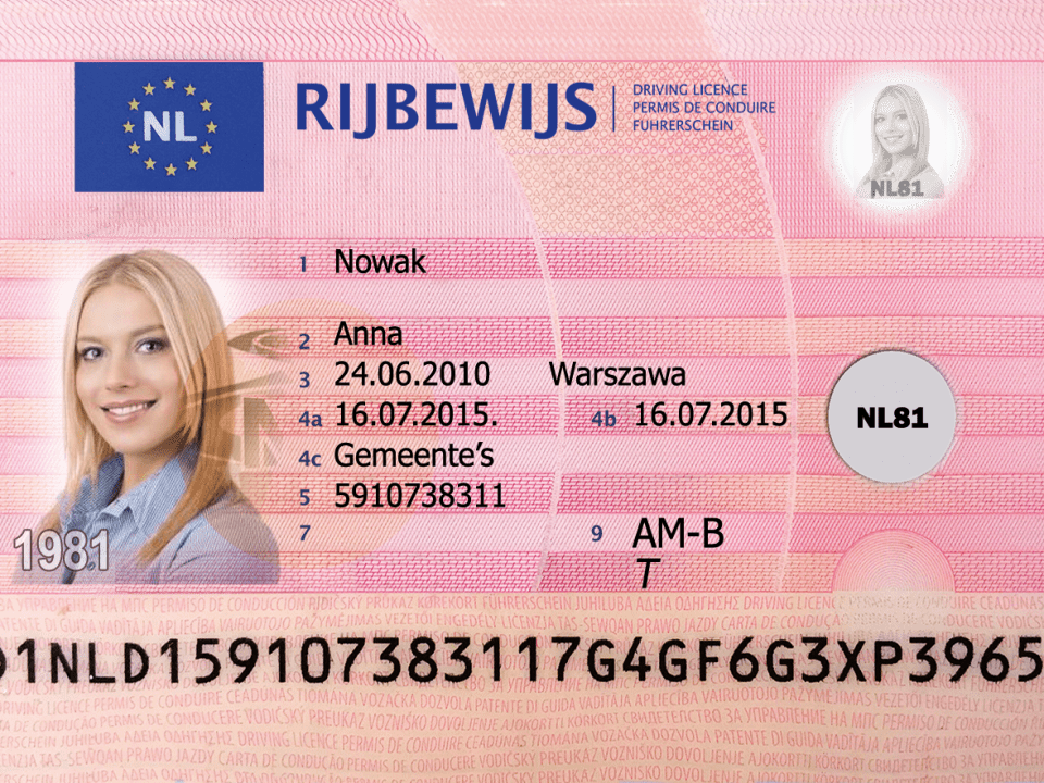 Netherlands Fake Driver’s License for Sale
