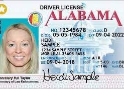 Buy Alabama Driver License and ID Cards