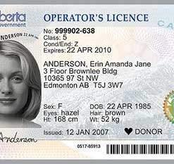 Buy Alberta Driving Licenses and ID Cards