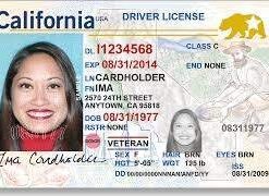 Buy California Driver License and ID Cards