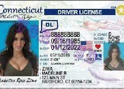 Buy Connecticut Driver License and ID Cards