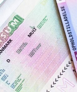 Buy Fake ID Card of Denmark