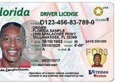 Buy Florida Driver License and ID Cards
