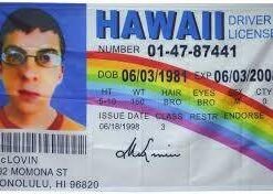 Buy Hawaii Driver License and ID Cards