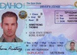 Buy Idaho Driver License and ID Cards