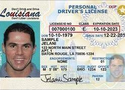 Buy Louisiana Driver License and ID Cards