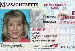 Buy Massachusetts Driver License and ID Cards