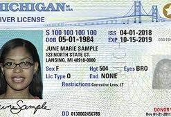 Buy Michigan Driver License and ID Cards
