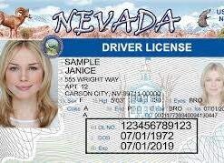 Buy Nevada Driver License Licenses and ID Cards