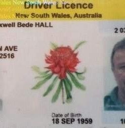 Buy New South Wales Driver License and ID Cards